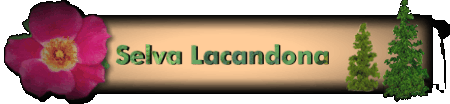 Selva Lacandona